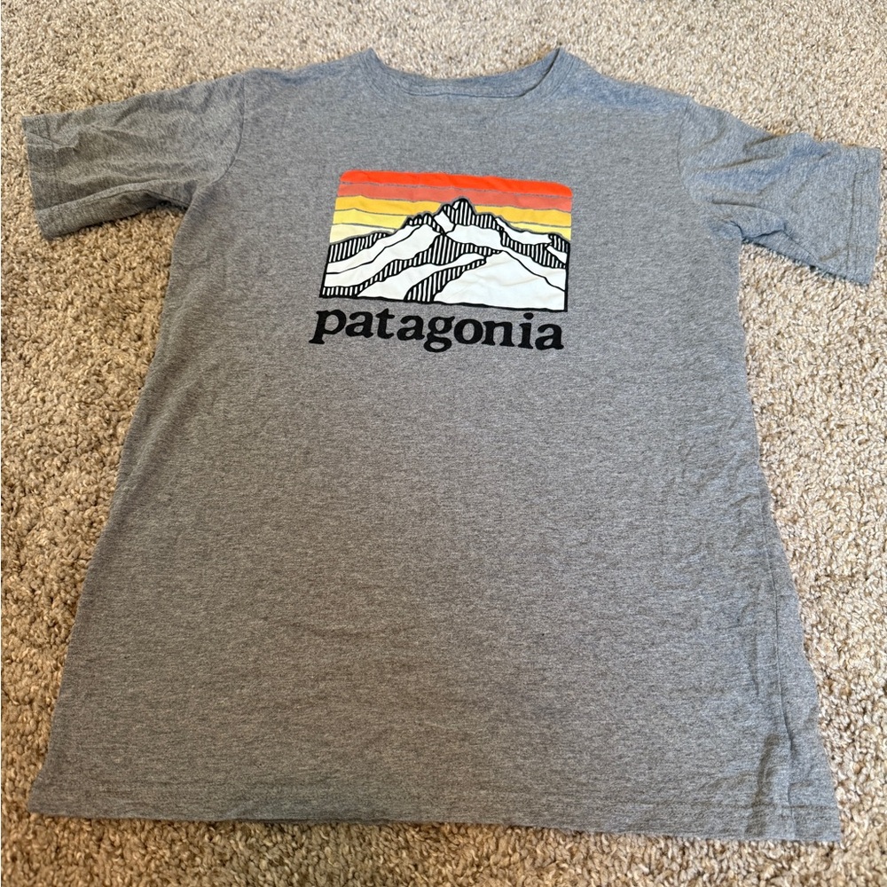 Patagonia Gray Short Sleeve Tee with Vibrant Mountain Design